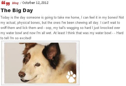 List of Stan's blog posts - Dog With A Blog Wiki, the Dog with a Blog
