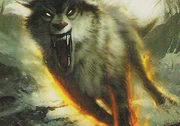 BestialWrathTCG