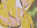 Dbz84-22