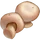 Ingredient-Wild Mushroom