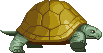 Turtle Helper