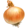 Ingredient-Wild Onion