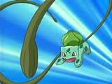 Whip Generation.jpg (4 KB) Whip Generation