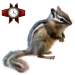 Item yellow-pinechipmunk 01