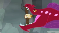 Owl in Eel S2E7