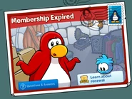 123kitten1membershipexpired2012