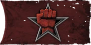 Spetsnaz flag BO