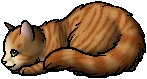 Scorchwind.kit