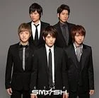 Smash step cover