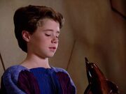 Harry und sein Delphin