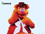 Fozzie wallpaper