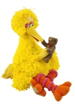 Big Bird Radar