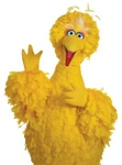 Big Bird half