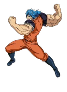 Toriko GS1