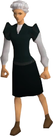 Defender (NPC)