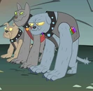 Diamond dogs trio S1E19