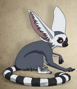Ring-tailed winged lemur