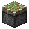 Sticky Piston
