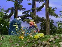 Cookiedawnnature