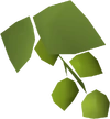 Asgarnian hops detail