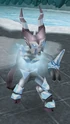 Icefiend GWD