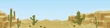 Desert Background Brigade