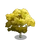 Rock Elm Tree-icon