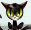 Salemcharacterbox