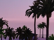 Palmisland