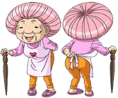 Setsuno Designs