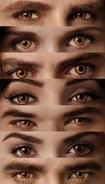Tumblr mar7gjSnkh1rol1tbo1 500