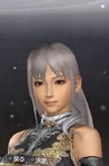 Dw7empires-dlc03-access01