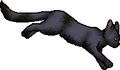 Stormfur.ph