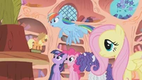 Applejack supports going to Zecora's house S1E09