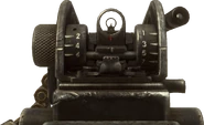 Mk 48 Iron Sights BOII