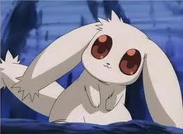 Images (5)