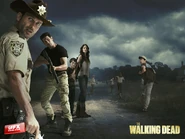 Twd-s2-1600x1200-2 1600x1200-1-