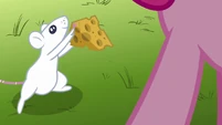 Mouse offering cheese to Pinkie clone S3E3