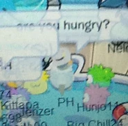 Puffle Handler