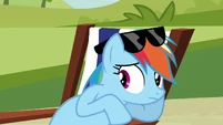 Rainbow Dash looking S3E03