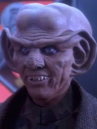 Quark 2365