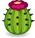 Egg cactusmonster@2x