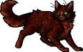 Russetfur.apprentice