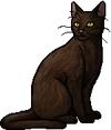 Nutwhisker.warrior