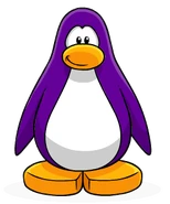 Purple Penguin Create