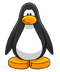 Black Penguin Create
