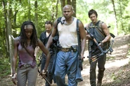 TWD GP 307 0723 0132
