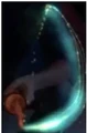 Impedimenta.png