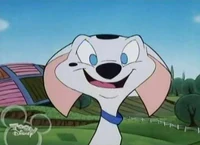 Unsurecadpig