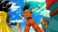 DBHUMAnime11